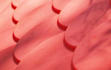 Matshead plastic roof costs